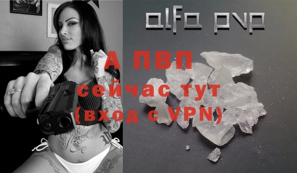 сатива Абаза