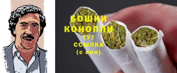 шишки Алзамай