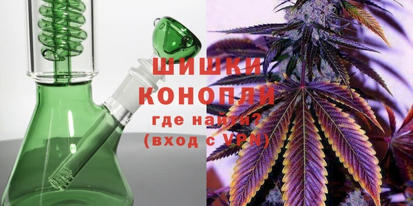шишки Алзамай