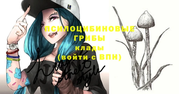 шишки Алзамай