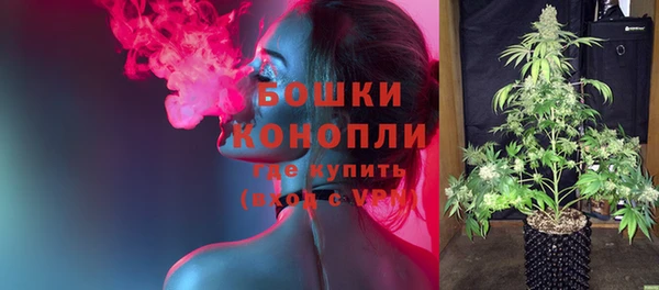 шишки Алексеевка