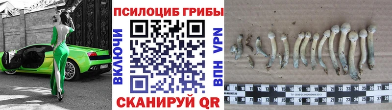 Псилоцибиновые грибы Magic Shrooms  хочу наркоту  Жигулёвск 